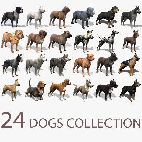 24 Dogs Collection